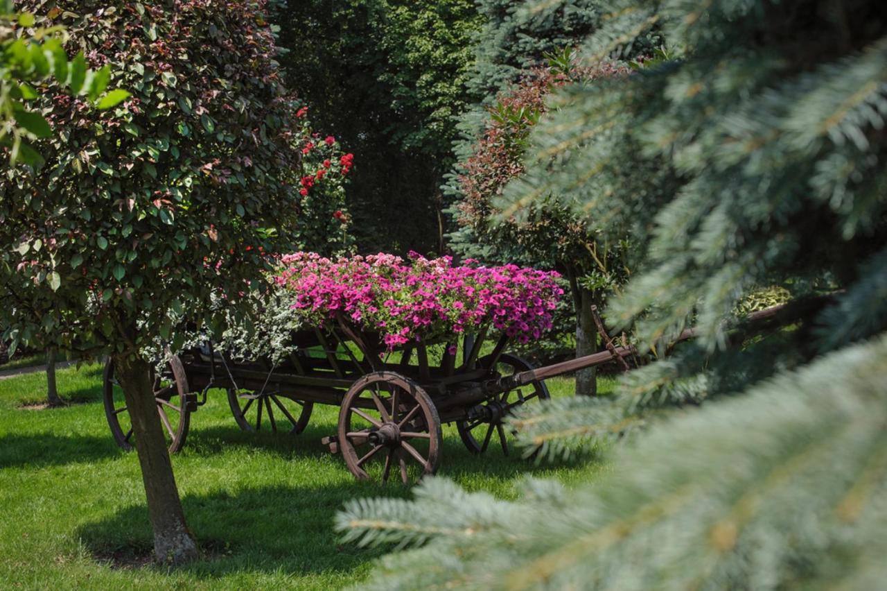 Booking Hotel & Spa Krakow Dış mekan fotoğraf The Botanical Garden of the University of Patras