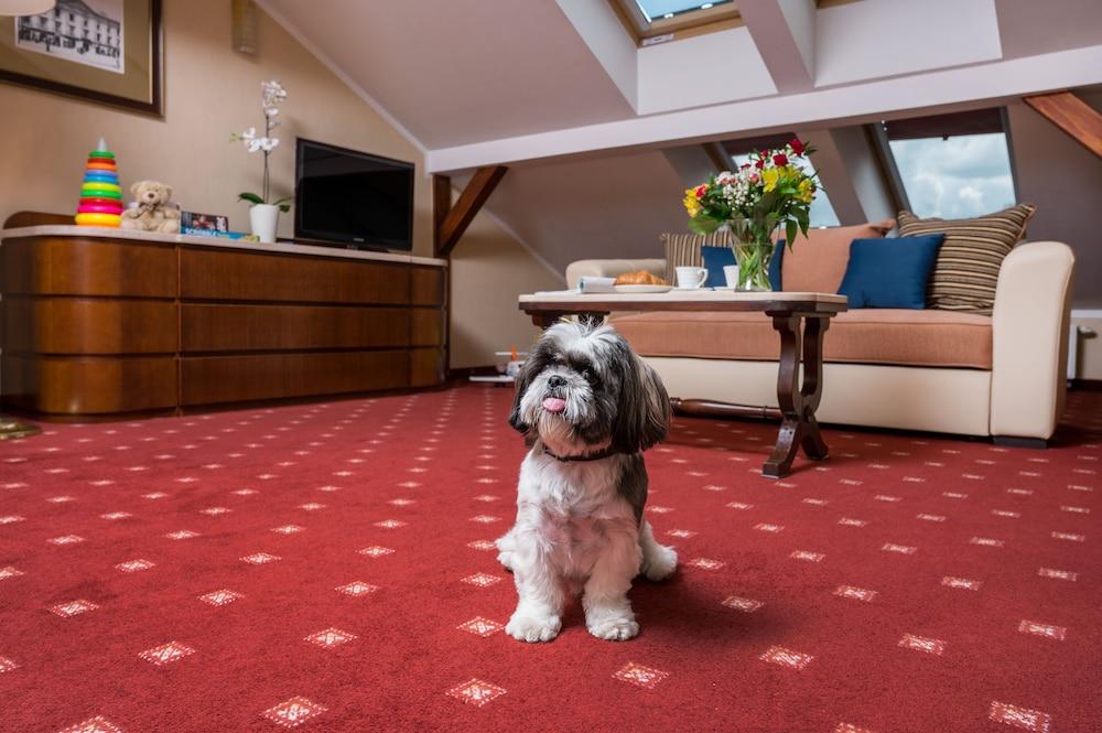 Booking Hotel & Spa Krakow Dış mekan fotoğraf A carpet in a living room